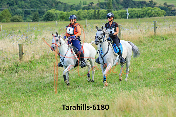 Tarahills-6180