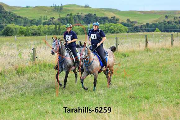 Tarahills-6259