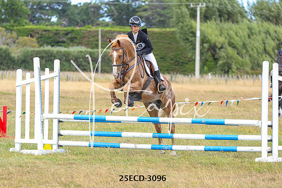25ECD-3096