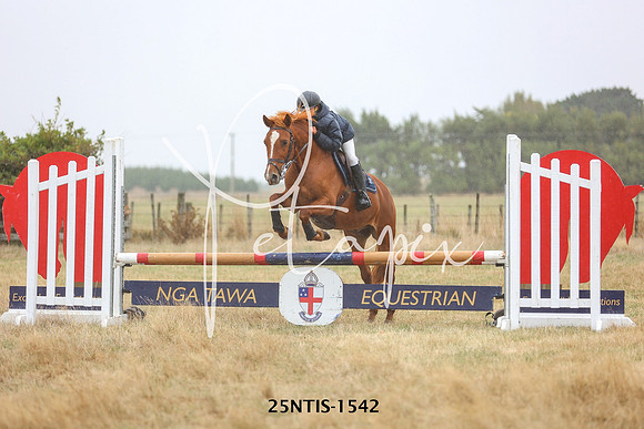 25NTIS-1542