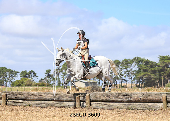 25ECD-3609