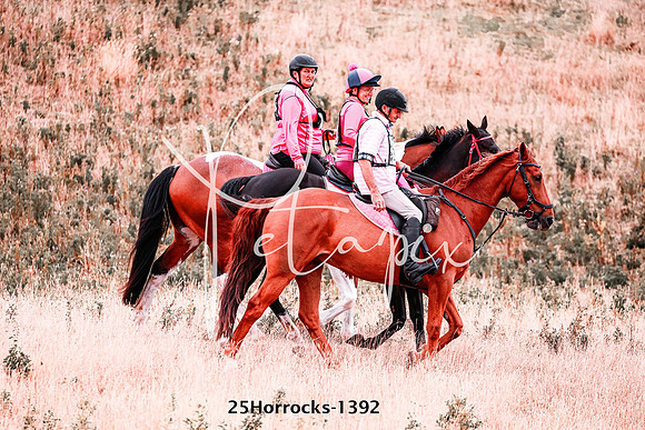 25Horrocks-1392