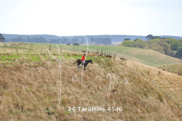 24 TaraHills-4546