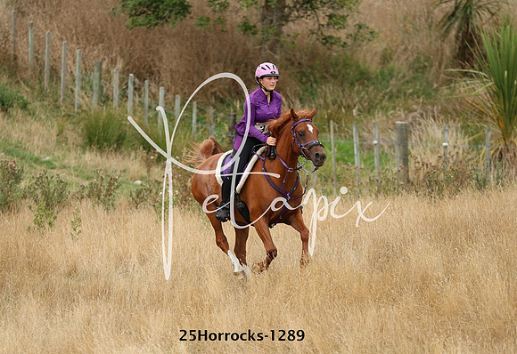 25Horrocks-1289