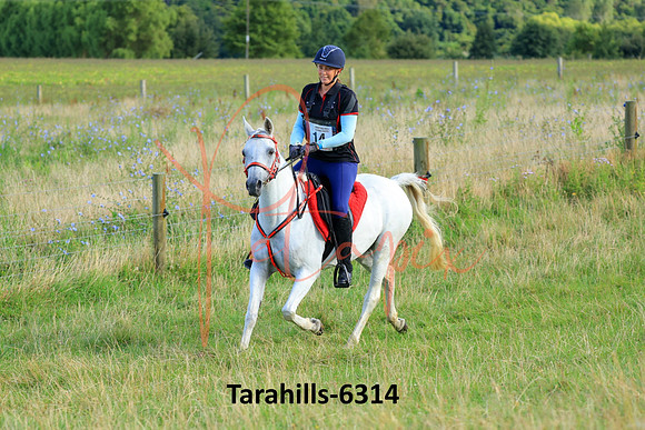 Tarahills-6314