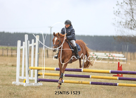25NTIS-1523
