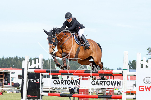 24Cartown2-8746