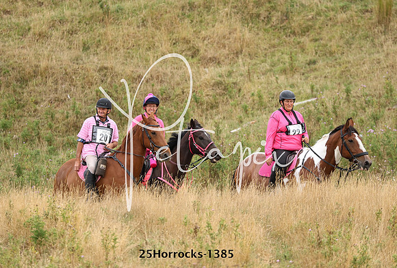 25Horrocks-1385
