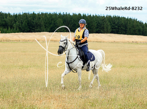 25WhaleRd-8232