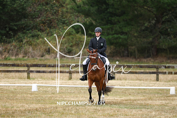 NIPCCHAMPS2-7195