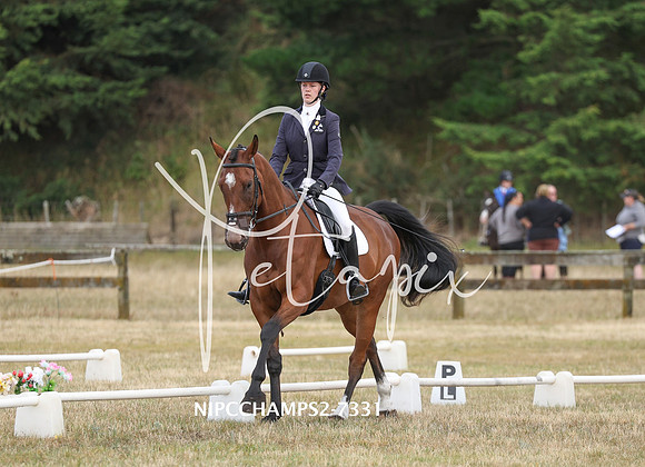 NIPCCHAMPS2-7331