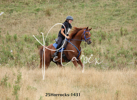 25Horrocks-1431