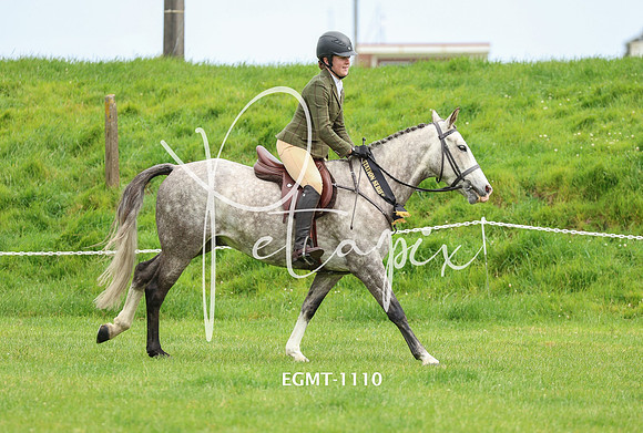 EGMT-1110