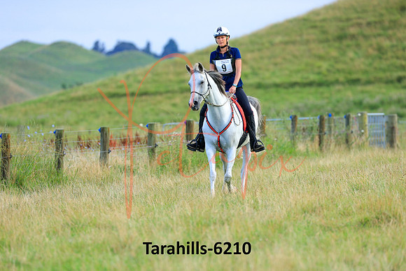 Tarahills-6210