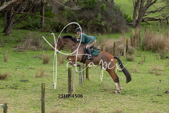 25HP-4506