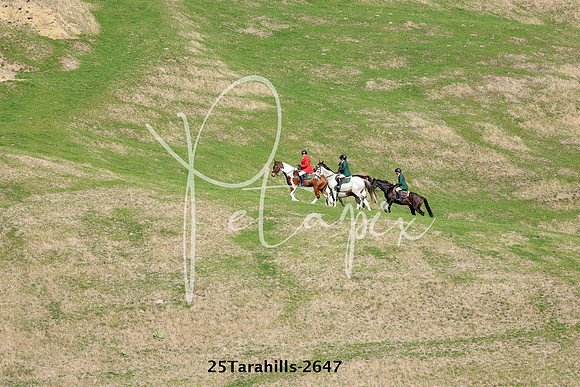 25Tarahills-2647
