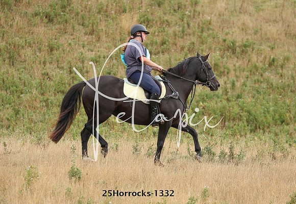 25Horrocks-1332