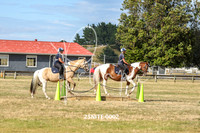 Riding Club Mount
