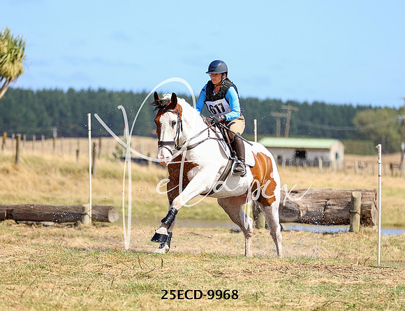 25ECD-9968