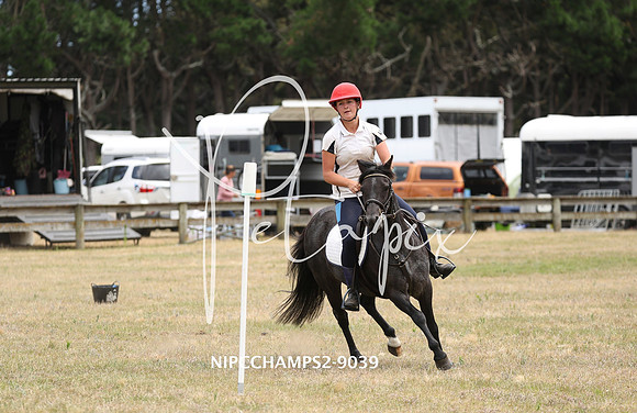 NIPCCHAMPS2-9039