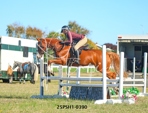 25PSH1-0390