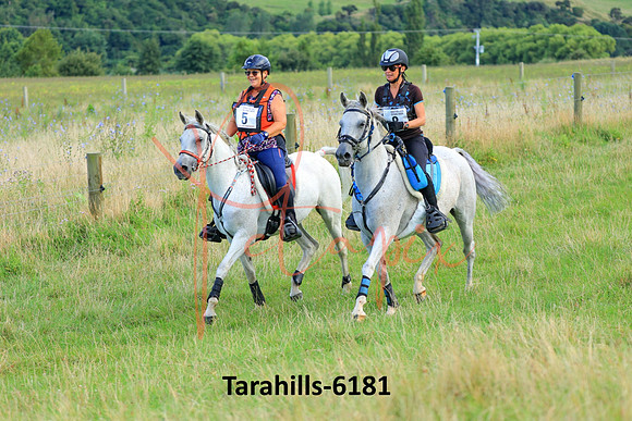 Tarahills-6181