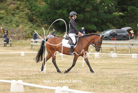 NIPCCHAMPS2-8076