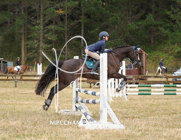 NIPCCHAMPS2-7779