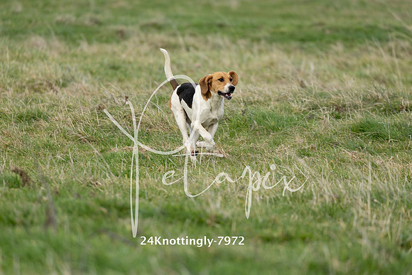 24Knottingly-7972