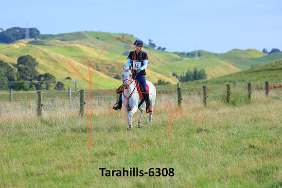 Tarahills-6308