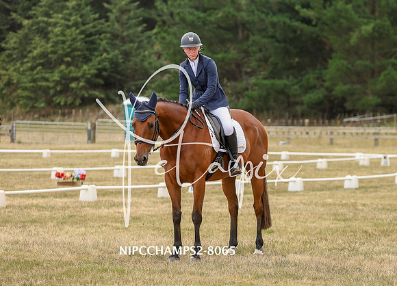 NIPCCHAMPS2-8065