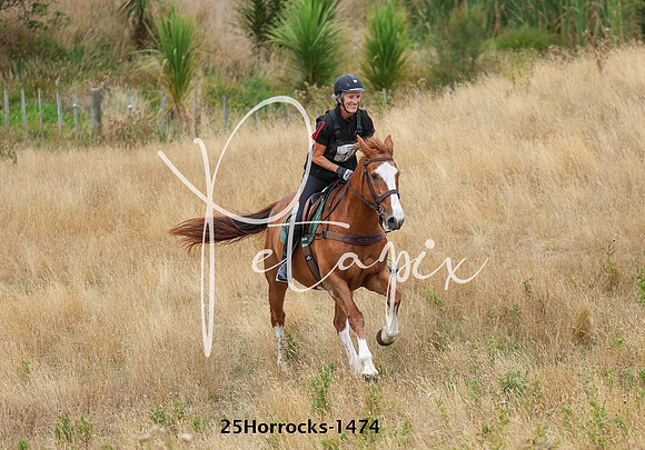25Horrocks-1474