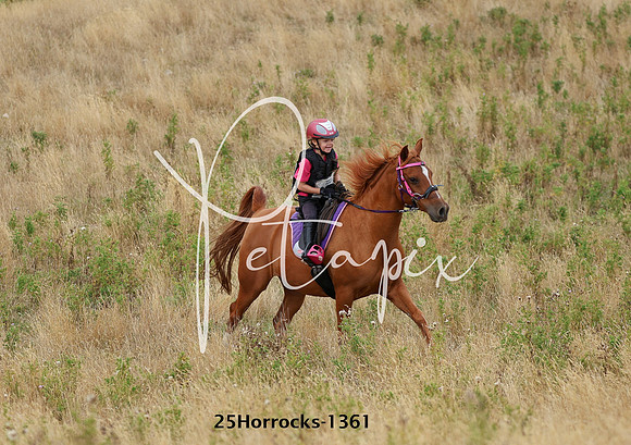 25Horrocks-1361