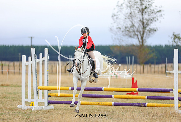 25NTIS-1293