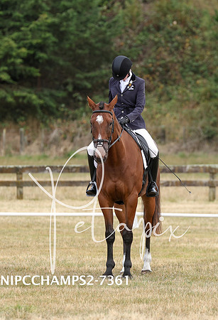 NIPCCHAMPS2-7361