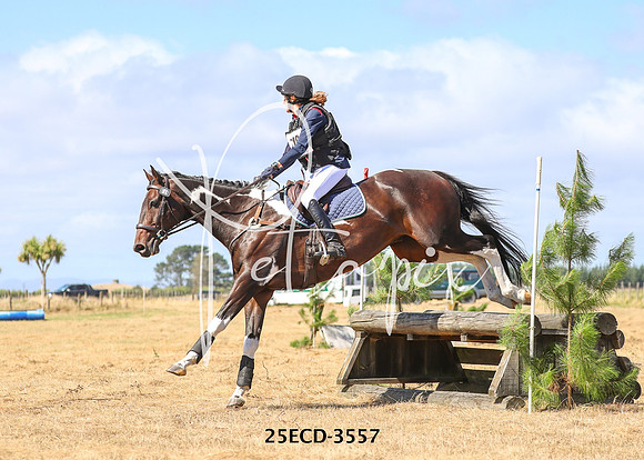 25ECD-3557