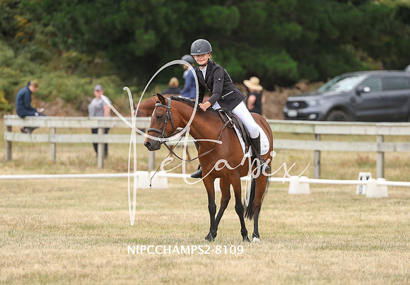 NIPCCHAMPS2-8109