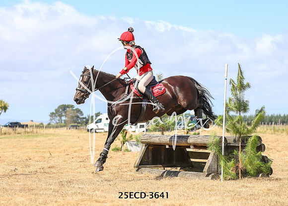 25ECD-3641