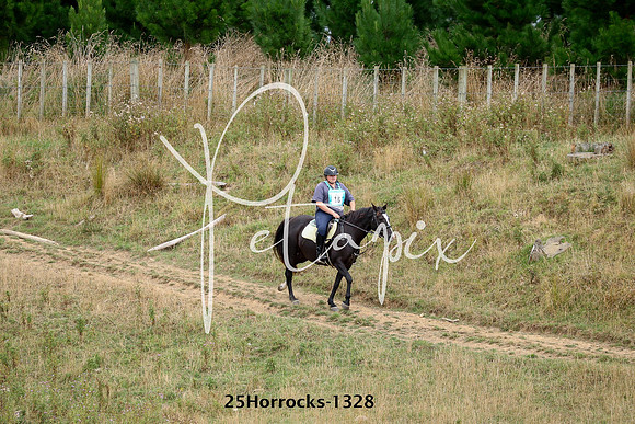 25Horrocks-1328