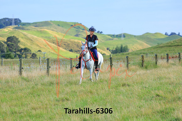 Tarahills-6306