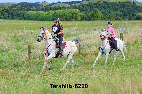 Tarahills-6200