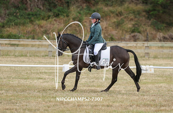 NIPCCHAMPS2-7307