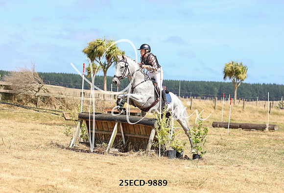 25ECD-9889