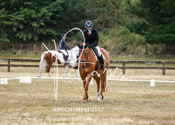 NIPCCHAMPS2-7117