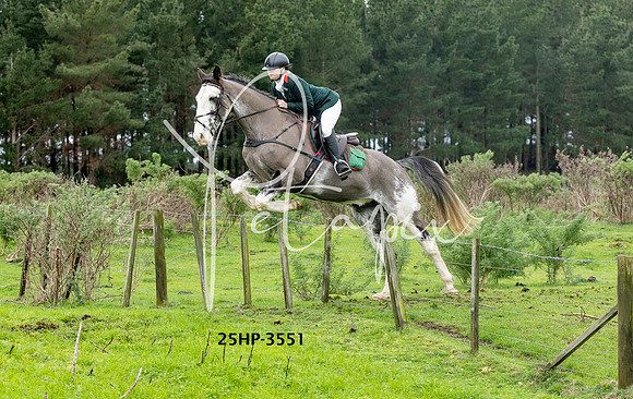 25HP-3551