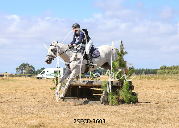 25ECD-3603