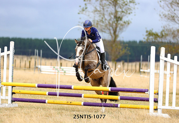 25NTIS-1077