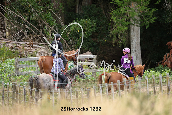 25Horrocks-1232