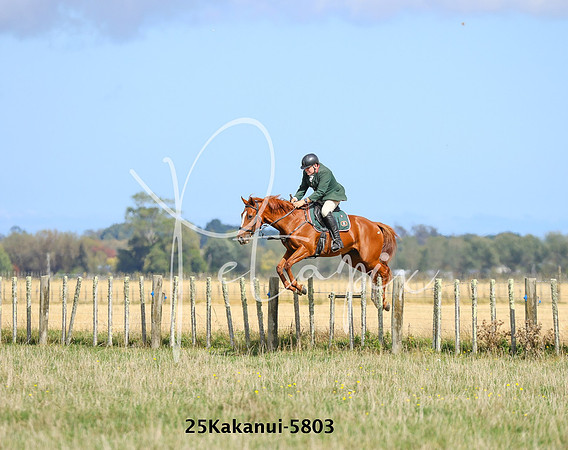 25Kakanui-5803