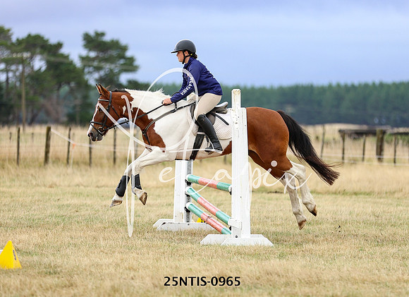 25NTIS-0965